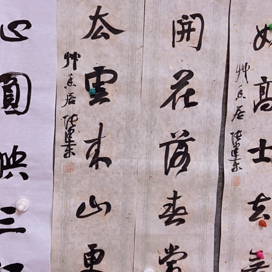 书法张建东老师书法作品