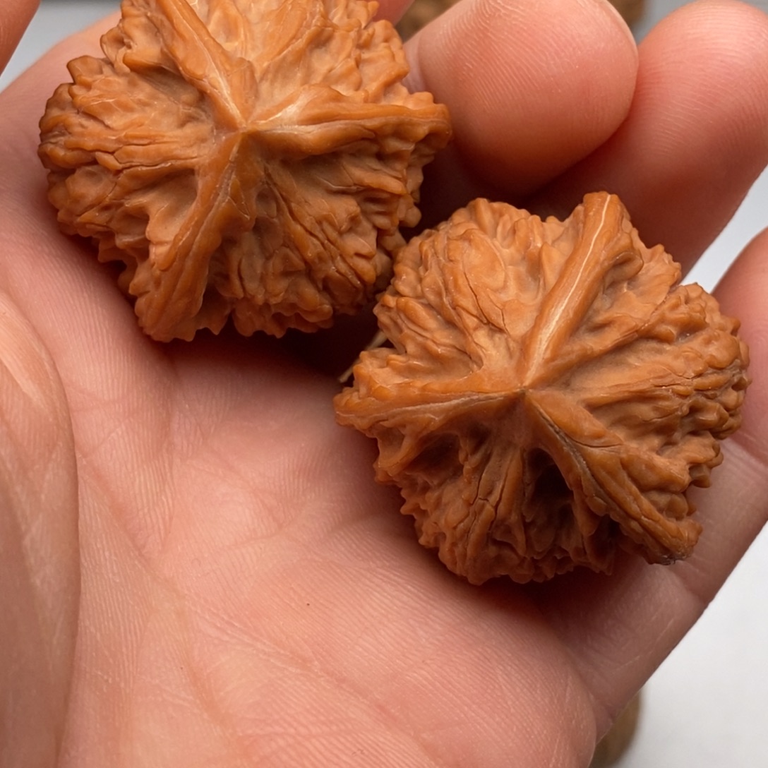 文玩核桃把件36正奔