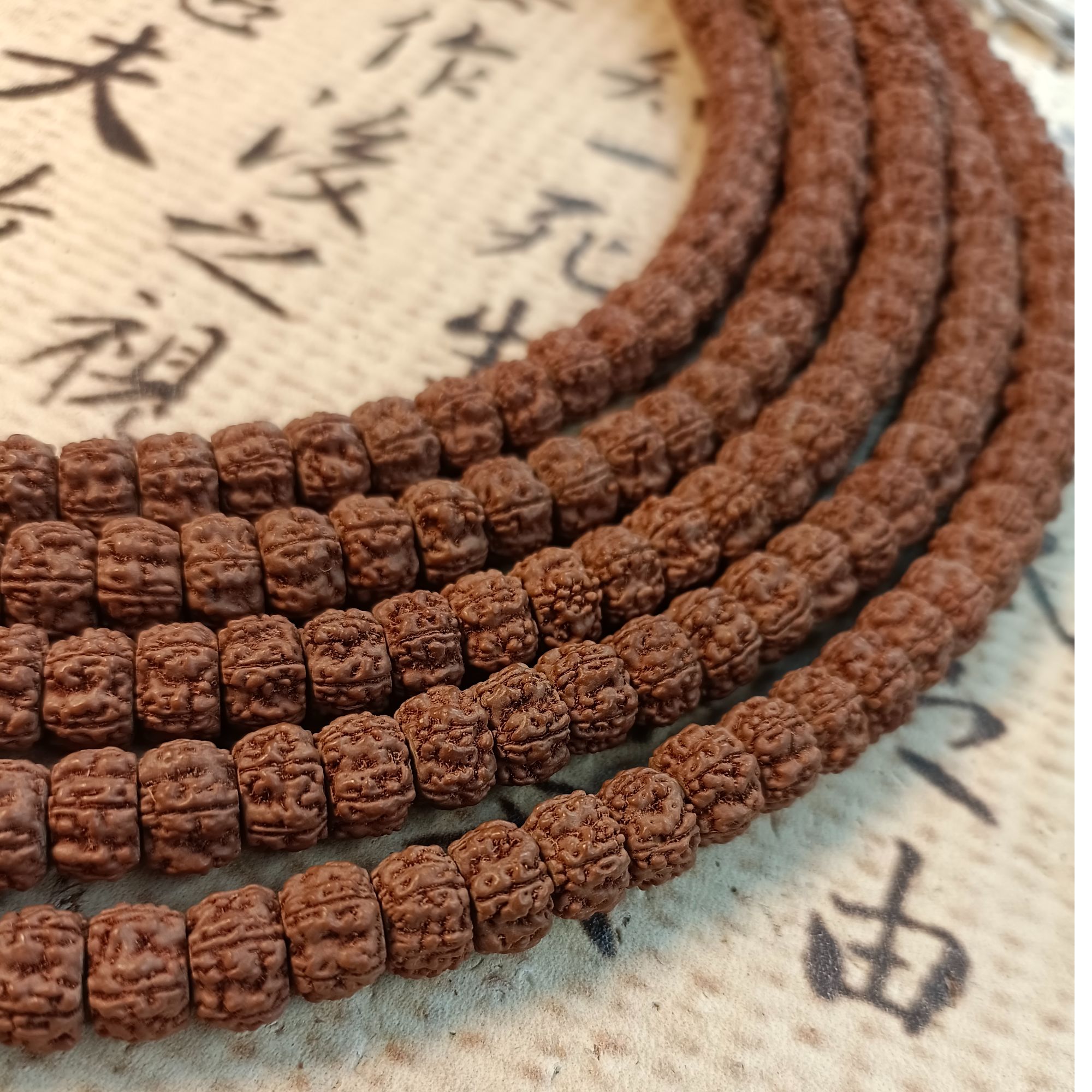 576原皮纯血麦穗龙尺寸8-12