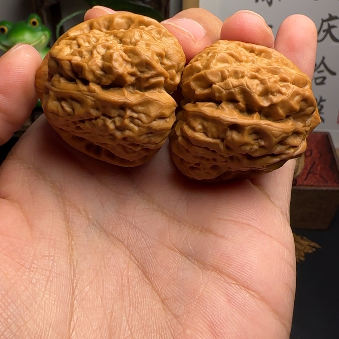 加***糖蛤蟆头40尺✖️43红皮