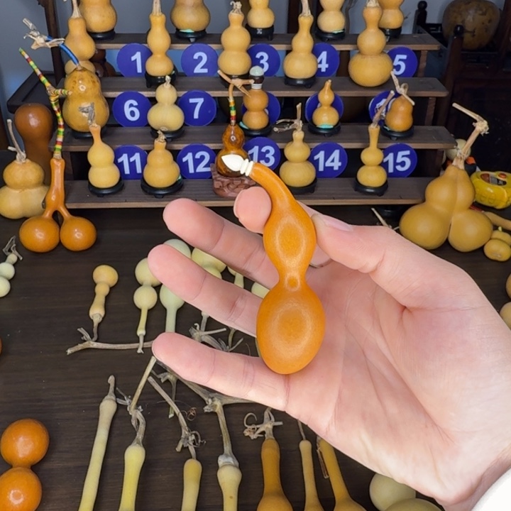 乄***哥精品老皮蚂蚁周正