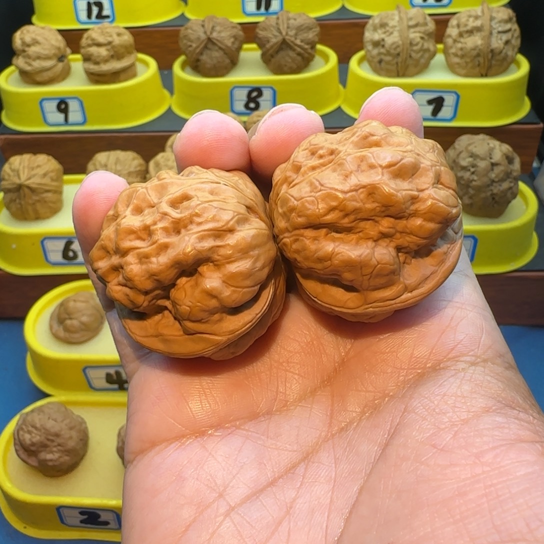 河***马桃核把件蟾祖核桃