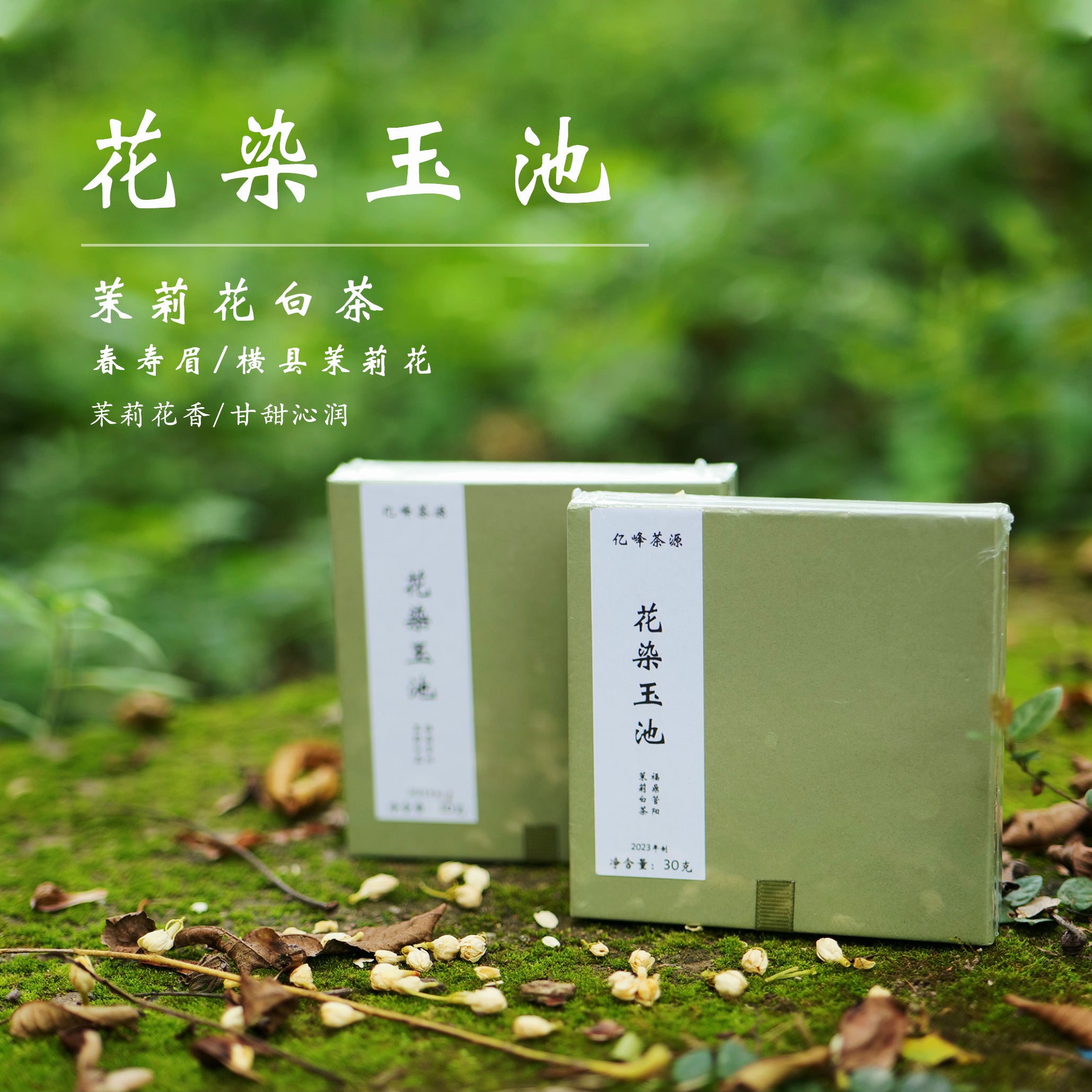 【花染玉池】茉莉白茶 30g*2 春寿眉＋横县茉莉花 花香福鼎白茶 