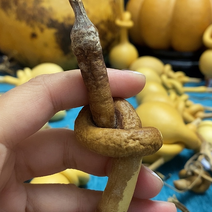 兔***一把葫芦便宜漏了