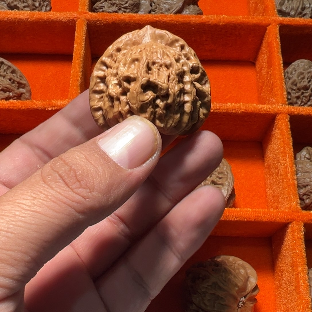 文玩核桃，佛肚狮子头