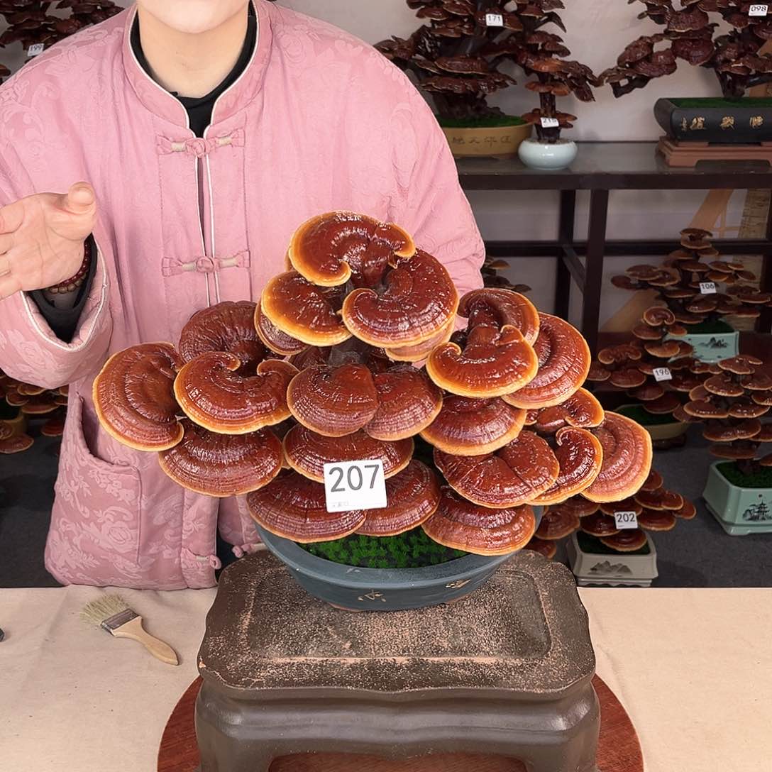 万事如意88888207