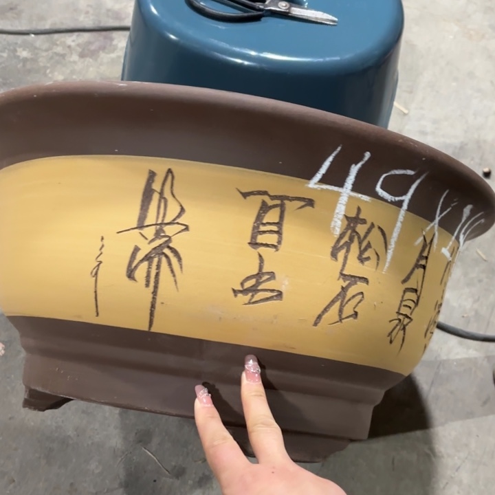 紫砂花盆     80-1。   