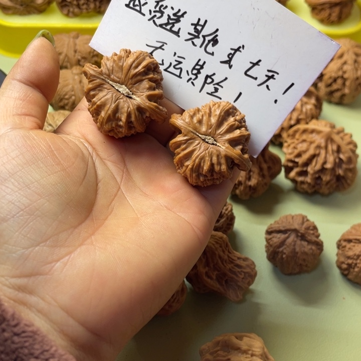 王***伟手把件雕刻核桃白狮子