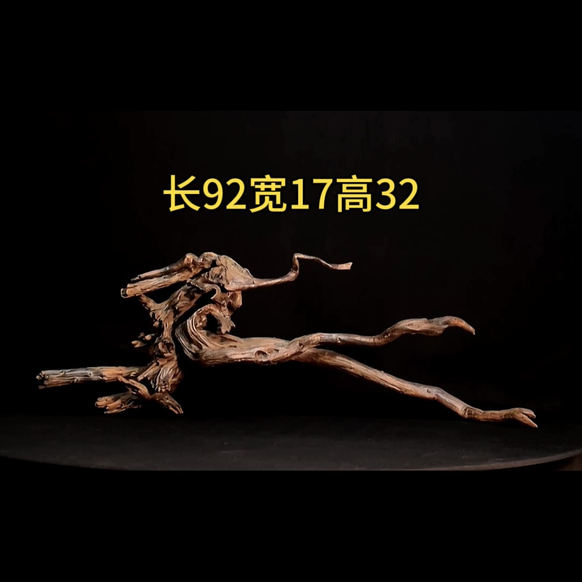 张大狼沉木鱼缸造景92cm天然一体多枝造型多飘枝沉木鱼缸装饰摆件