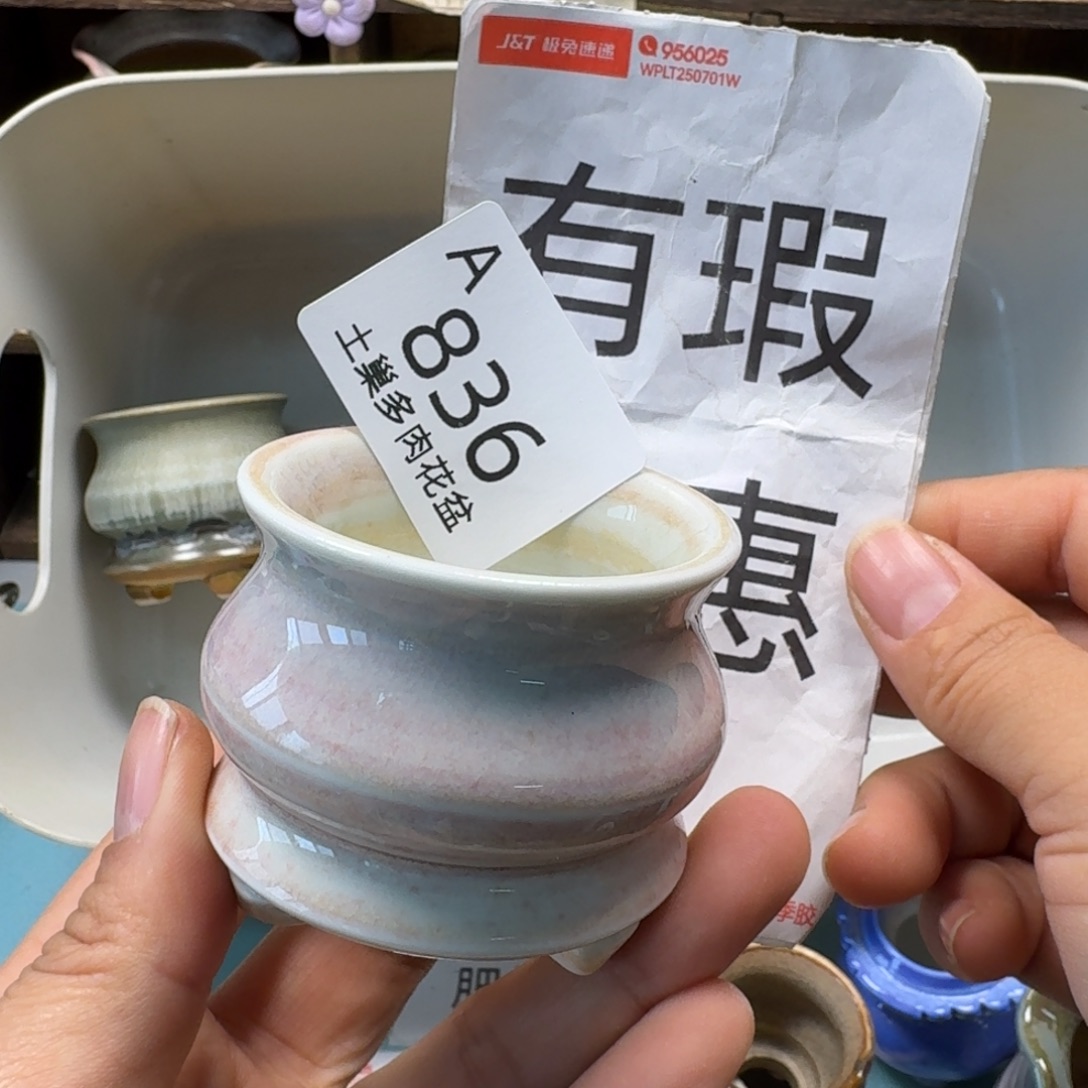 w***w陶瓷艺术设计与制作