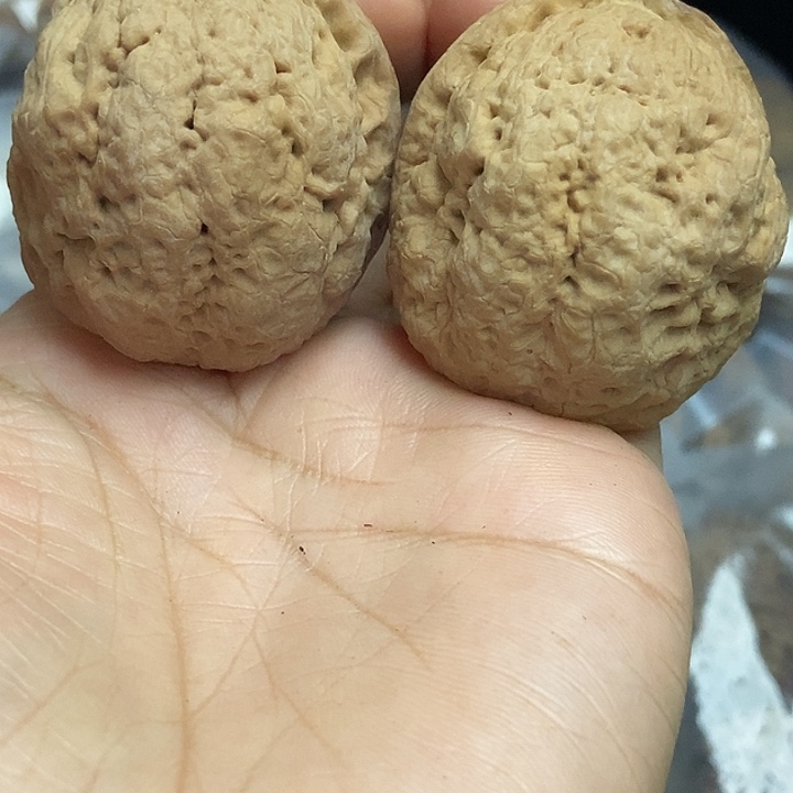 文玩核桃把件云南铁核桃基地83