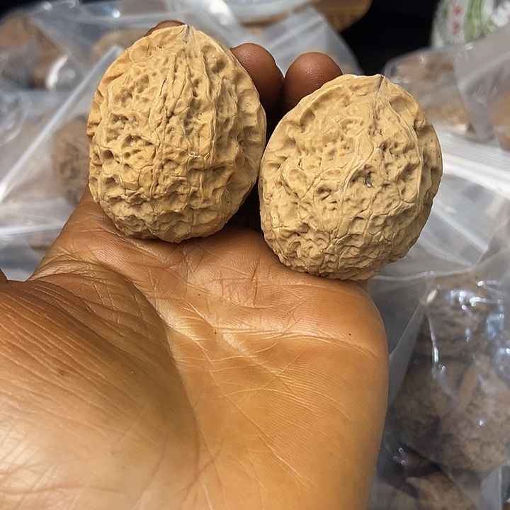 把件文玩核桃云南铁核桃基地15
