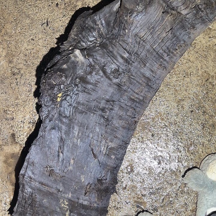 曾***i金丝楠金丝楠阴沉木