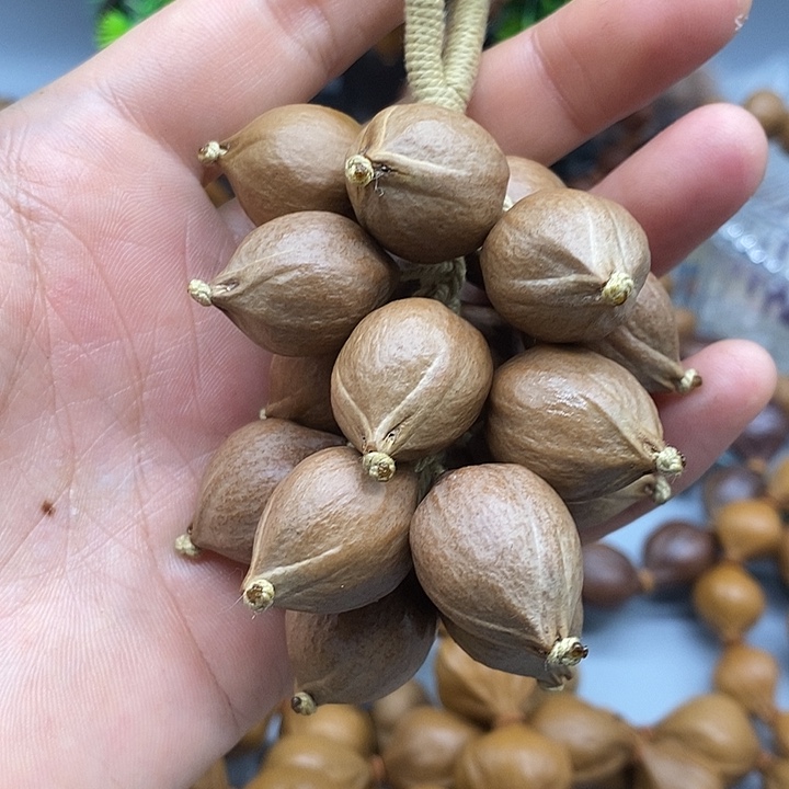 喜***子橄榄核手串/手链铁籽葡萄串