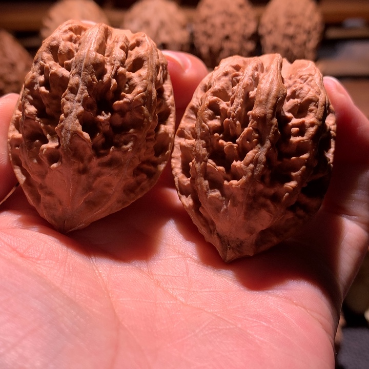 吊坠文玩核桃楸玥核54