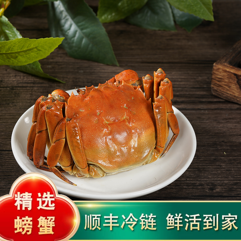 【活蟹】江苏全母精挑大闸蟹3.0-2.7两6/8/10只礼盒装顺丰包邮