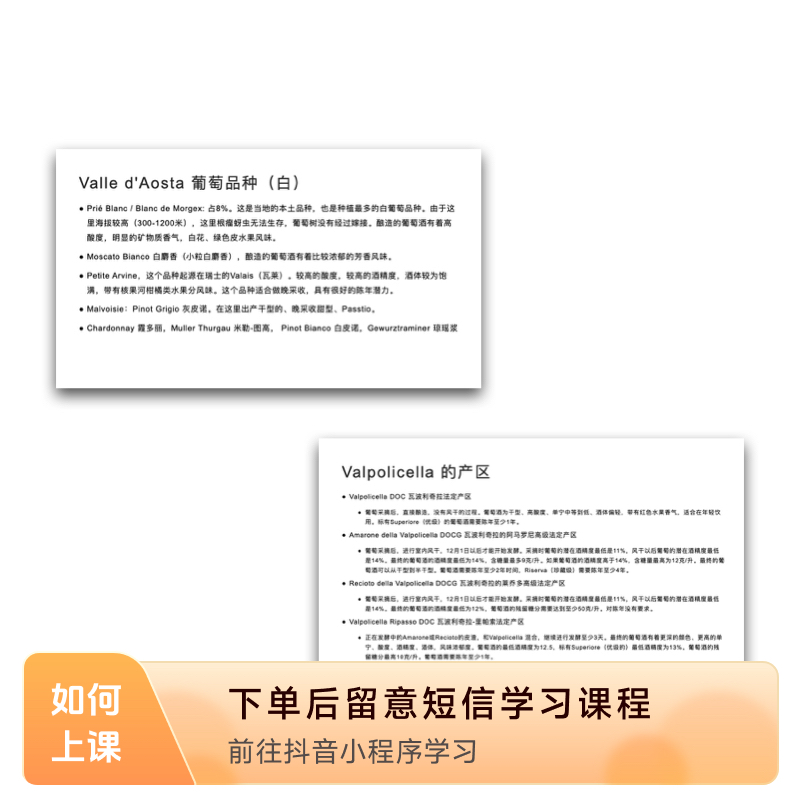 意大利学习资料pdf