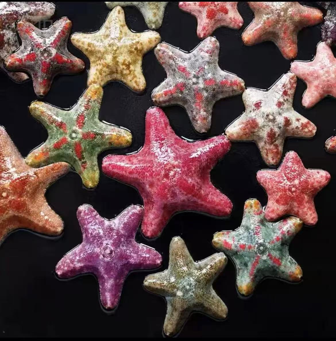 林氏海星派大星活体同款桌面萌宠