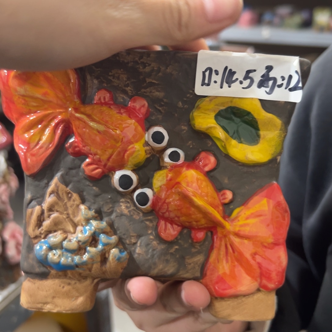 满20米秒退拉黑花盆