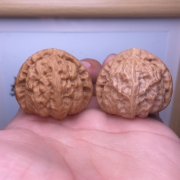 核桃小尺寸三角白