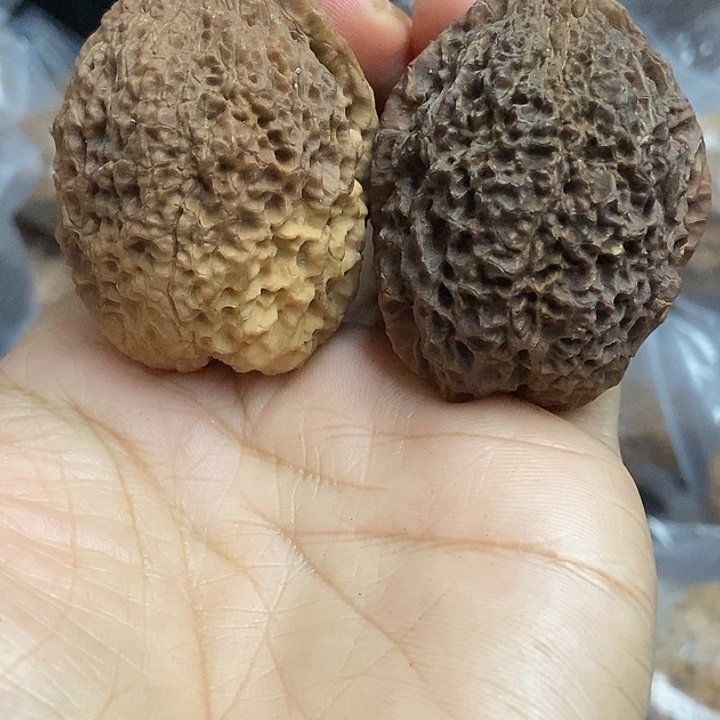 文玩核桃把件云南铁核桃基地29