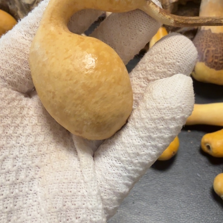 ****熟66666666666666666）