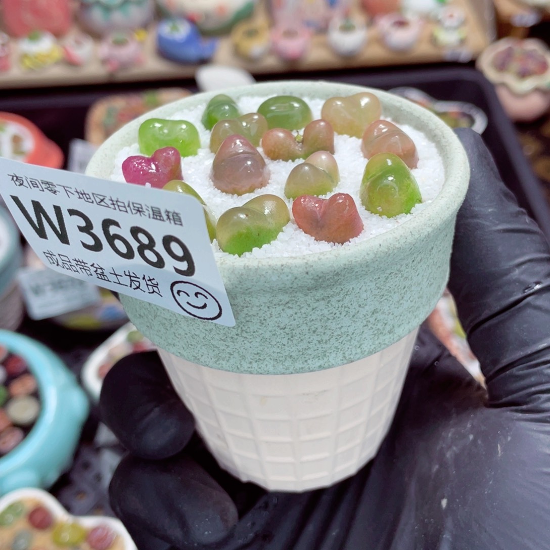 夜间零下地区拍保温箱w3689