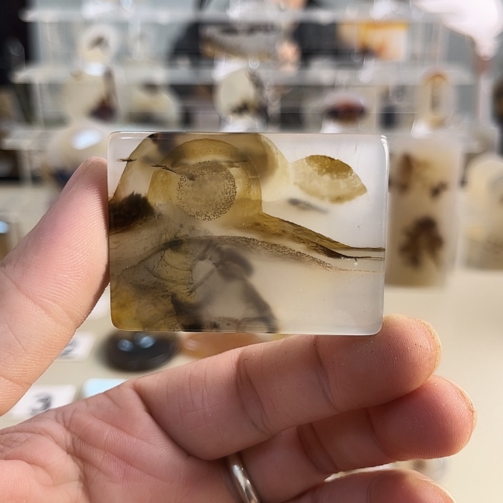 玛瑙/玉髓吊坠(不含链)未镶嵌