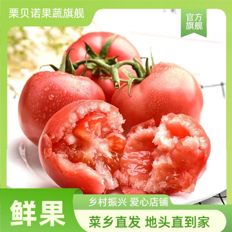 【寿光】正宗普罗旺斯沙瓤番茄现摘现发净重4.5斤装生吃水果西红柿