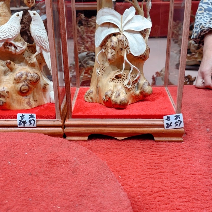 柏木（崖柏）小*哥