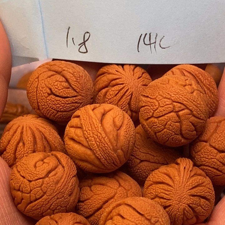 吊坠桃核秦岭龙纹桃核18尺寸