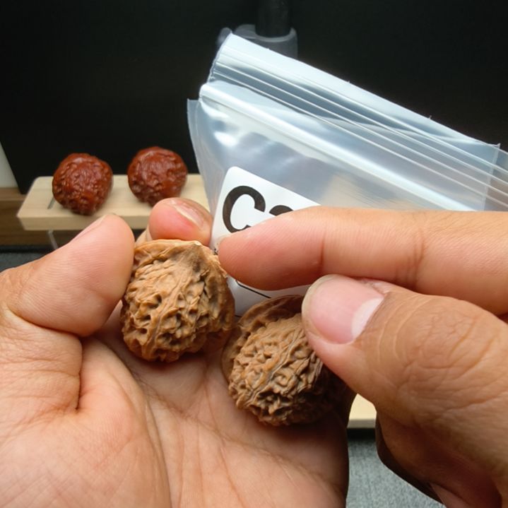 文玩核桃吊坠32麒麟鸡c300