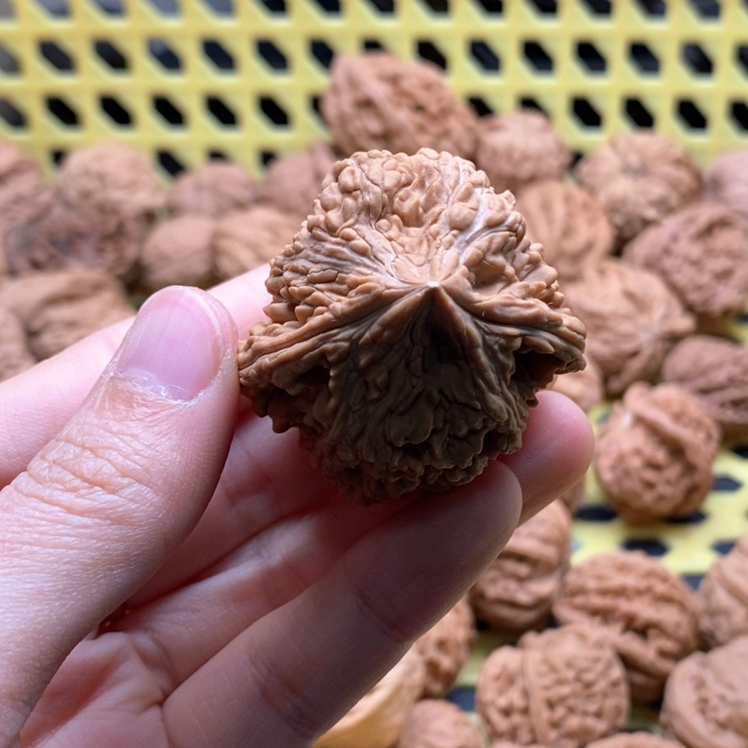 只***人核桃定制商品不退不换