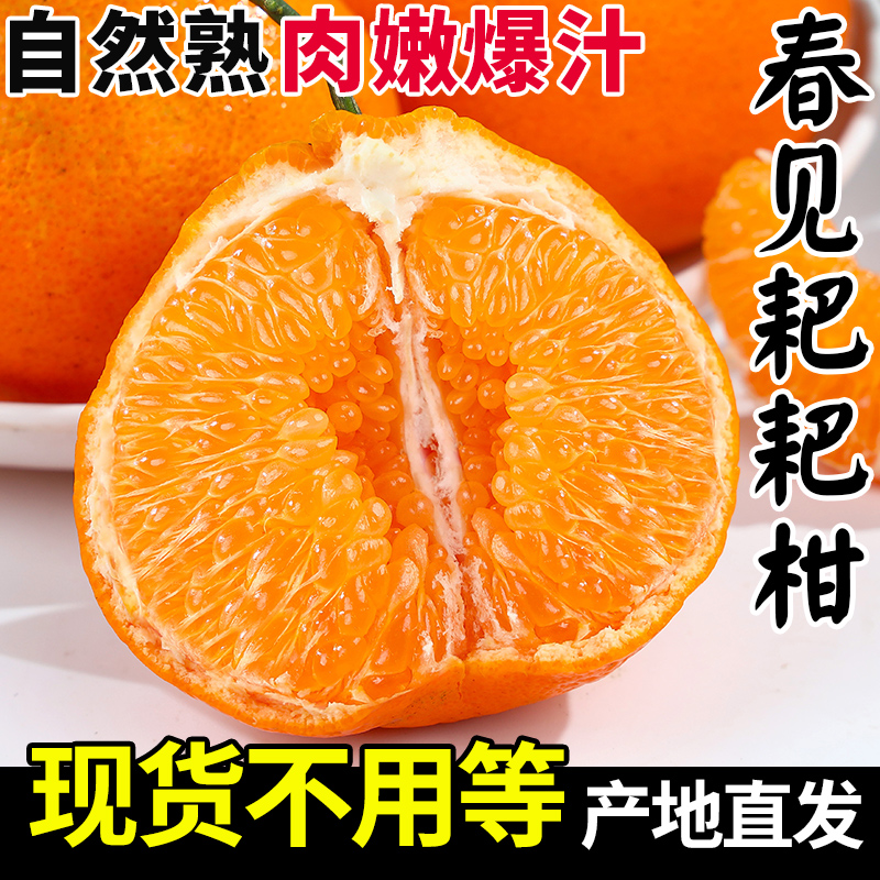 【现货速发】正宗四川春见耙耙柑新鲜水果粑粑柑橘子当季丑桔八怪