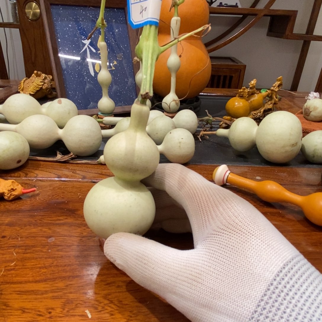 九***七青皮不包成不退不换！