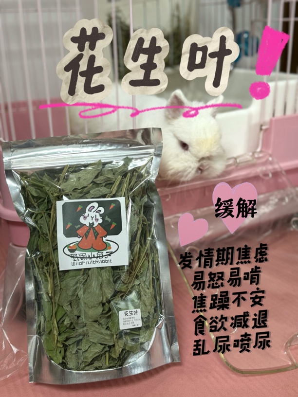 辅草｜兔子荷兰猪龙猫花生叶牧草安抚发情期安神暴躁辅草鲜脆绿