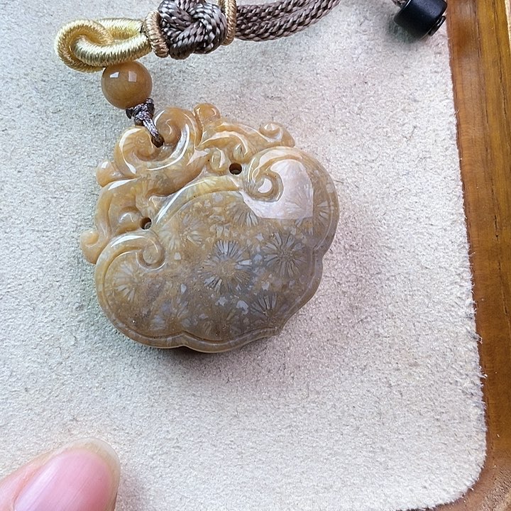 硅化玉颈饰未镶嵌