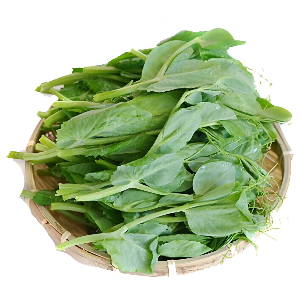 云南露天种植豌豆尖新鲜时蔬可火锅做汤清炒