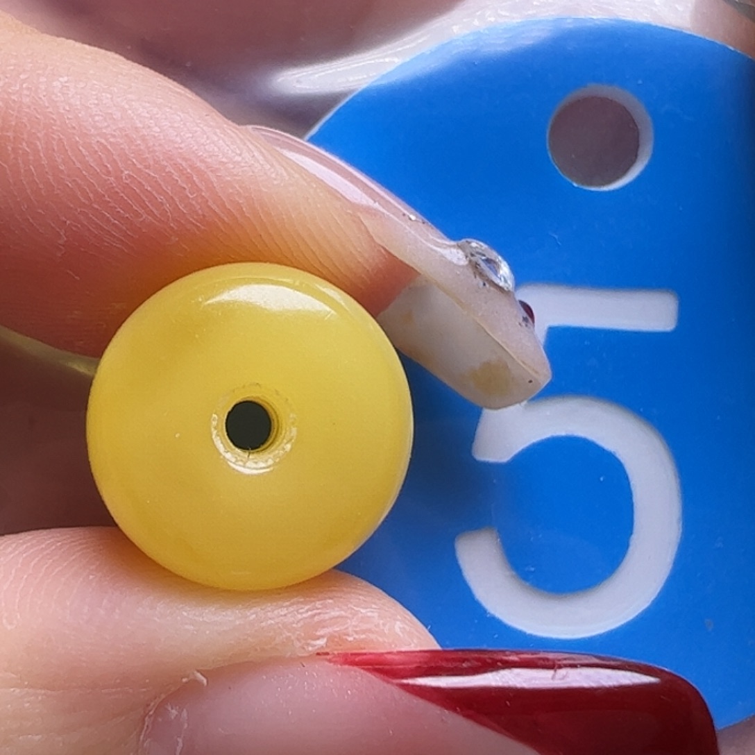 蜜蜡未镶嵌珠宝奇石微花粉12mm墩子