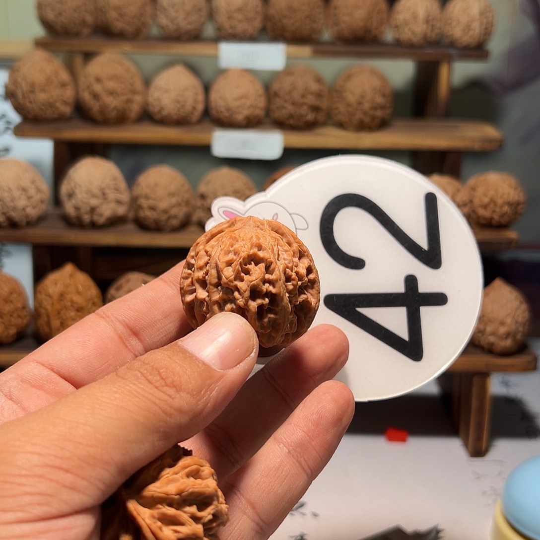 本*文玩核桃，白色42号