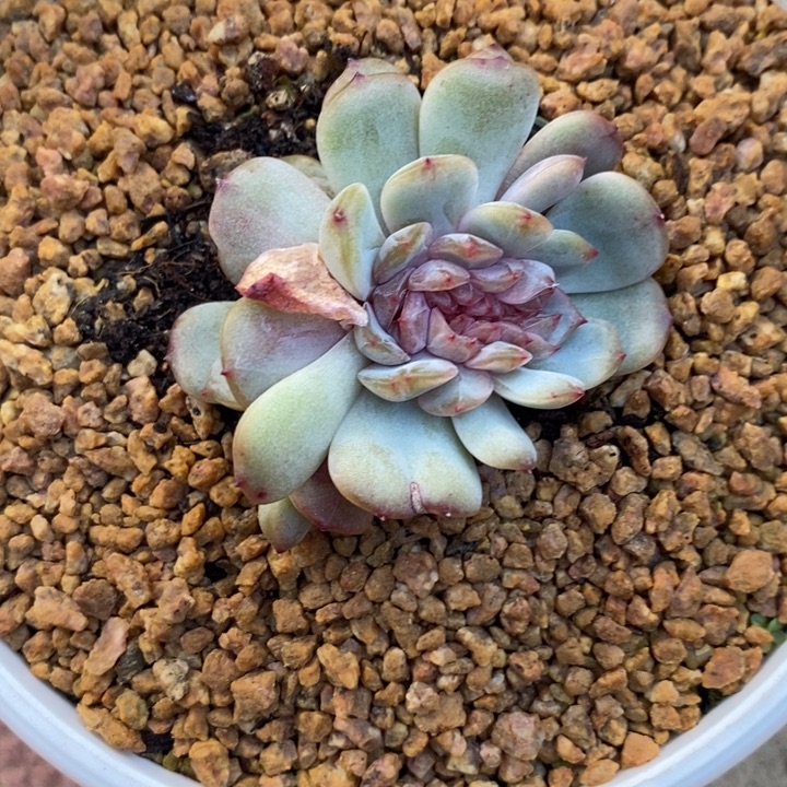 咱***肉888888888888888888