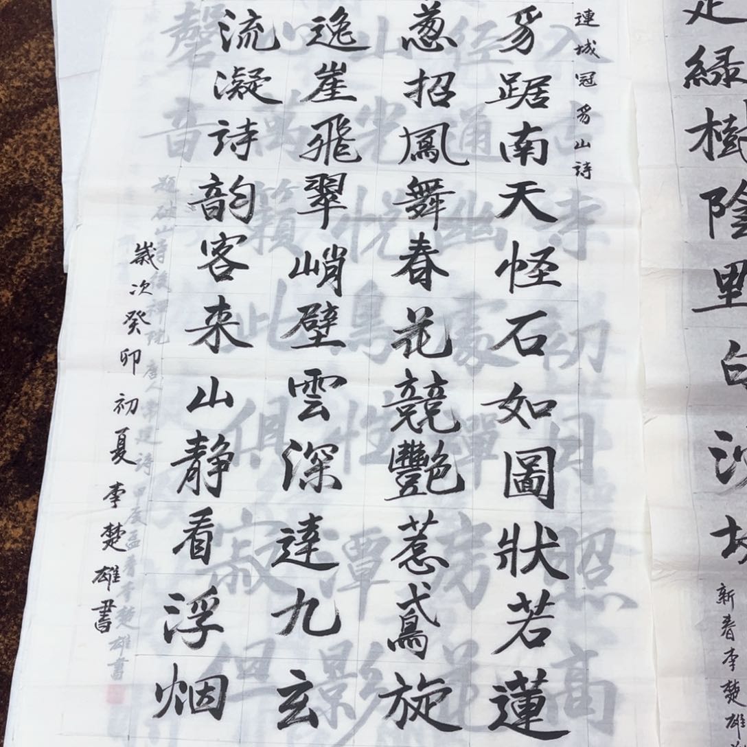 国画东**电绘画李老师作品140.70