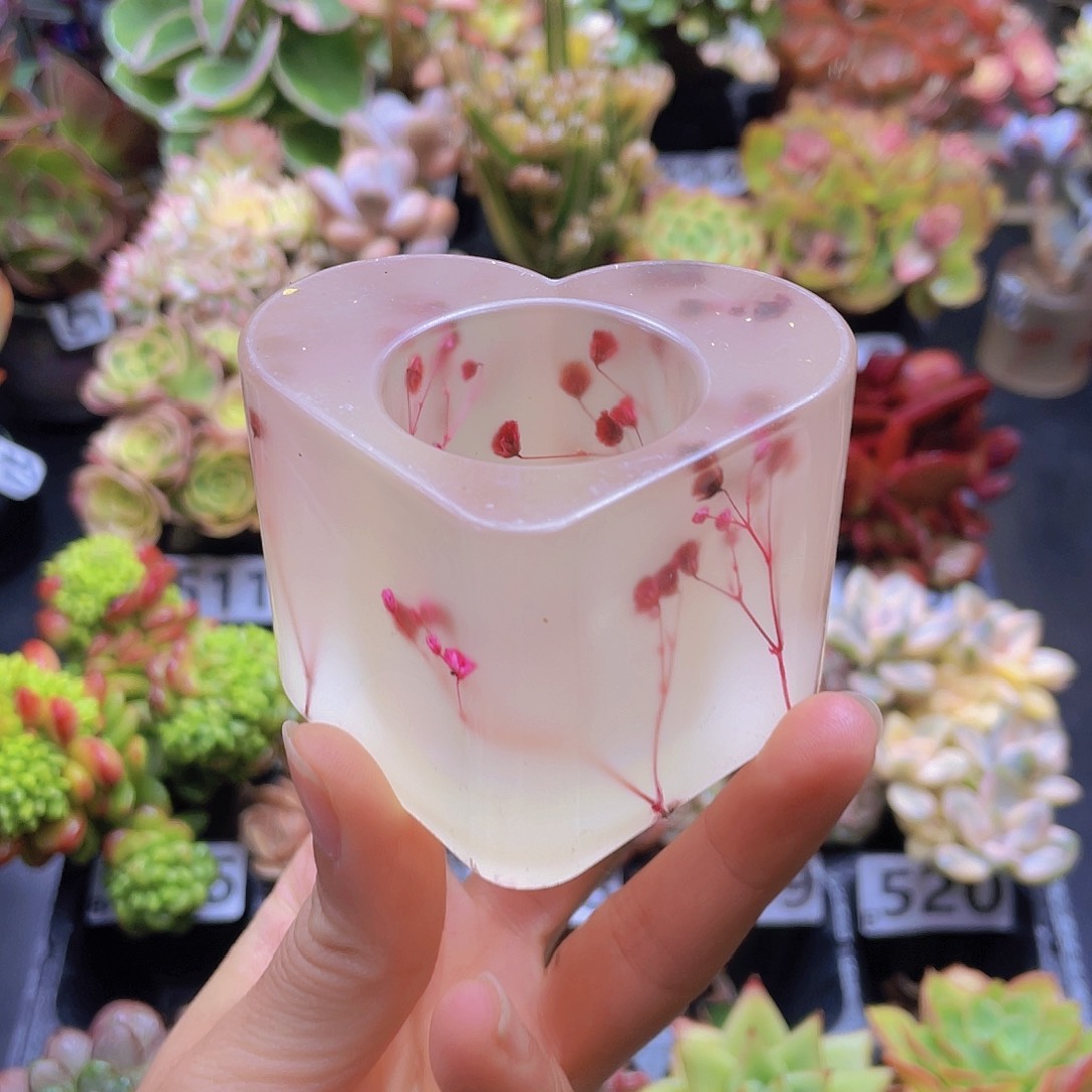 就去花钱花钱花钱花钱