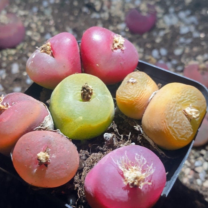 22291一组一组一组