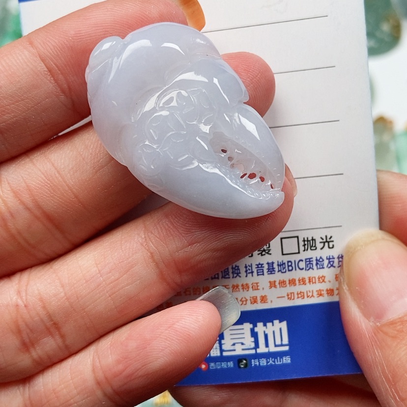 【闪购商品】翡翠颈饰未镶嵌有钱花