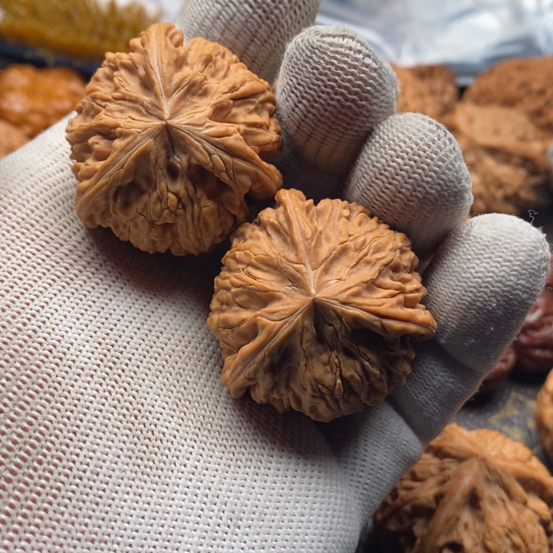 慕*玉龙粗筋正奔一对对