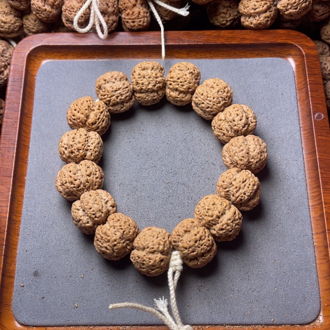 烜***赫菩提籽类31号金刚菩提爆肉霸王花24.5/25