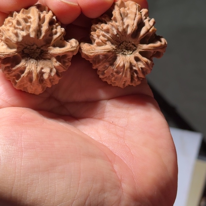 把件文玩核桃504号全品龙门涧40mm