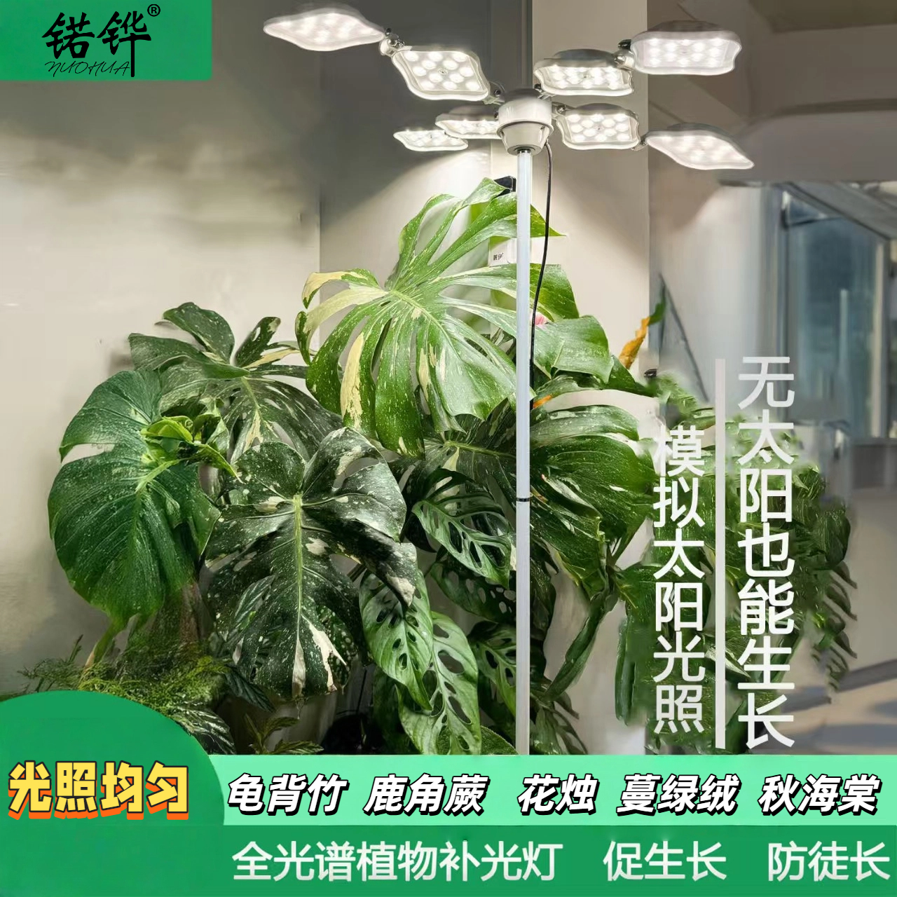 室内植物补光灯led透镜落地灯观叶植物花卉生长灯龟背竹热植用灯