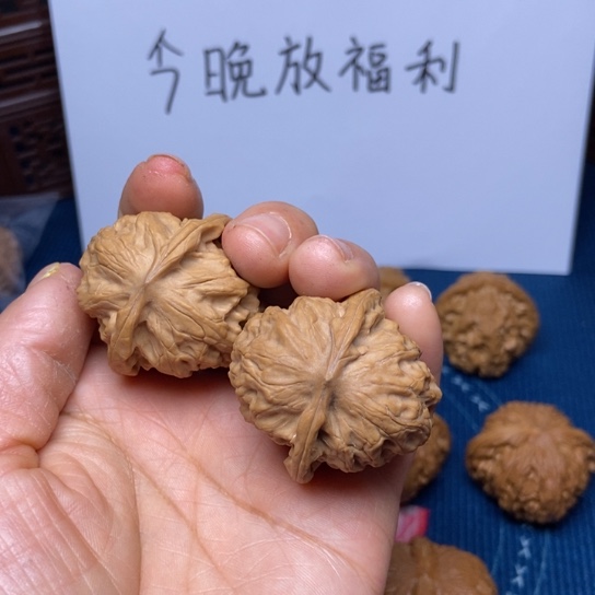 文玩核桃把件野狼38